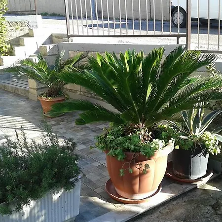 Il Pergolato