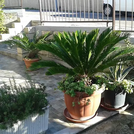 Il Pergolato